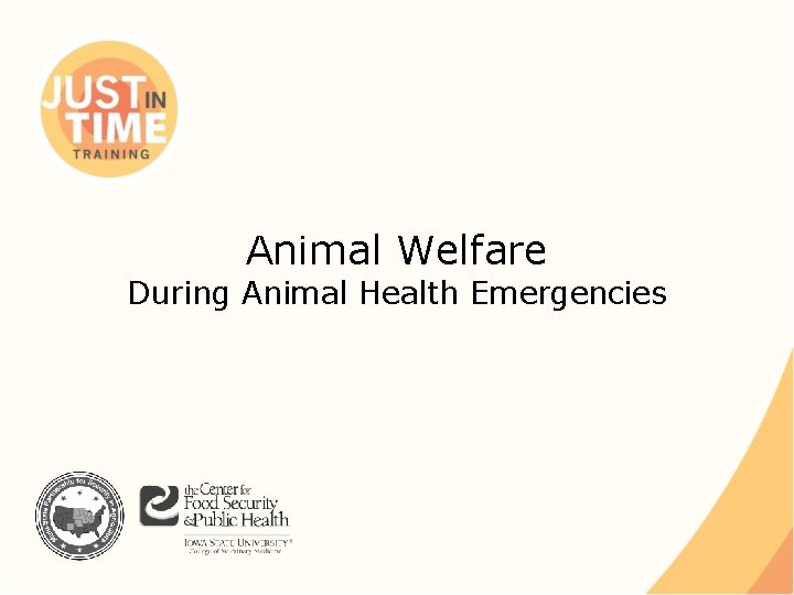 Animal Welfare During Animal Health Emergencies 