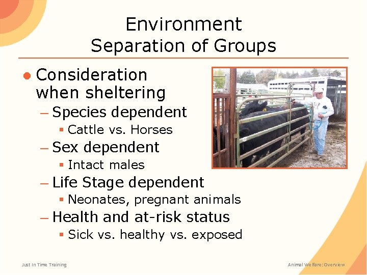 Environment Separation of Groups ● Consideration when sheltering – Species dependent § Cattle vs.
