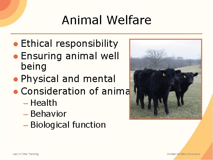 Animal Welfare ● Ethical responsibility ● Ensuring animal well being ● Physical and mental