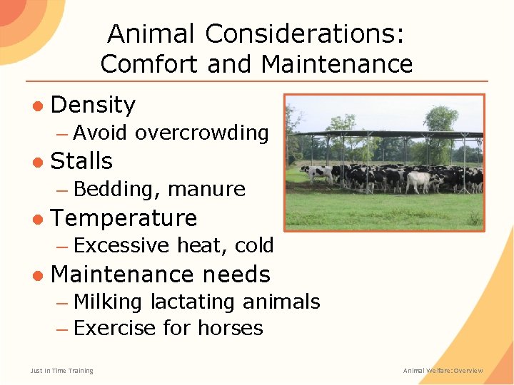 Animal Considerations: Comfort and Maintenance ● Density – Avoid overcrowding ● Stalls – Bedding,