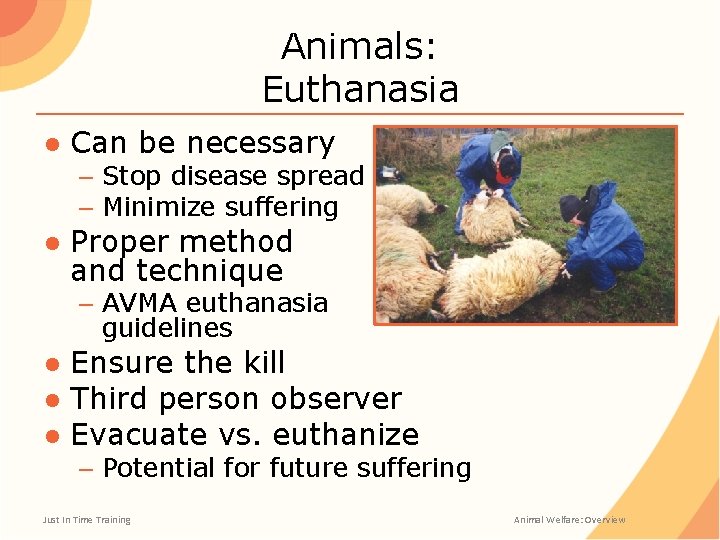 Animals: Euthanasia ● Can be necessary – Stop disease spread – Minimize suffering ●