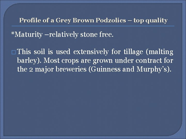 Profile of a Grey Brown Podzolics – top quality *Maturity –relatively stone free. �