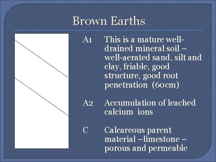 Brown Earths A 1 This is a mature welldrained mineral soil – well-aerated sand,