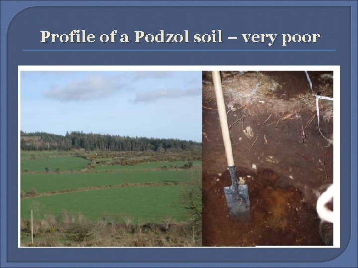 Profile of a Podzol soil – very poor 