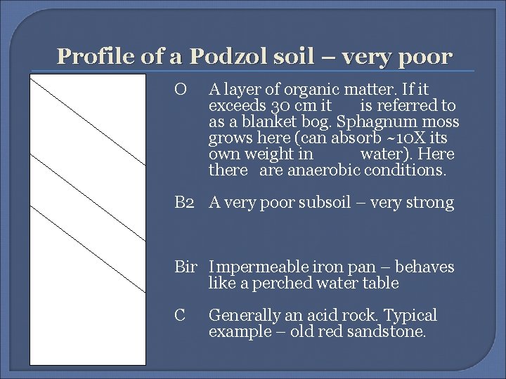 Profile of a Podzol soil – very poor O A layer of organic matter.
