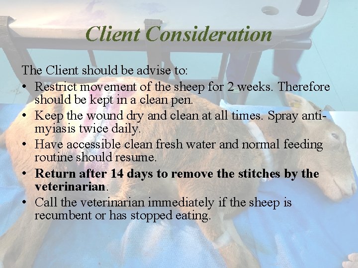 Client Consideration The Client should be advise to: • Restrict movement of the sheep