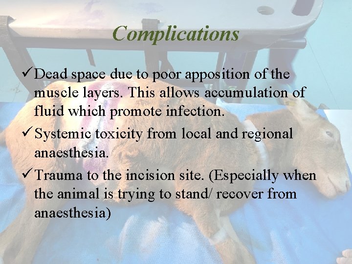 Complications ü Dead space due to poor apposition of the muscle layers. This allows