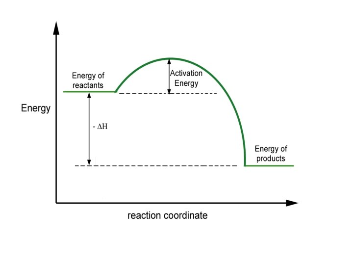 Exothermic Reactions 