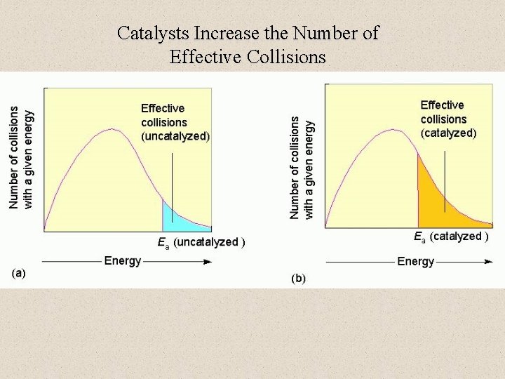 Catalysts Increase the Number of Effective Collisions 