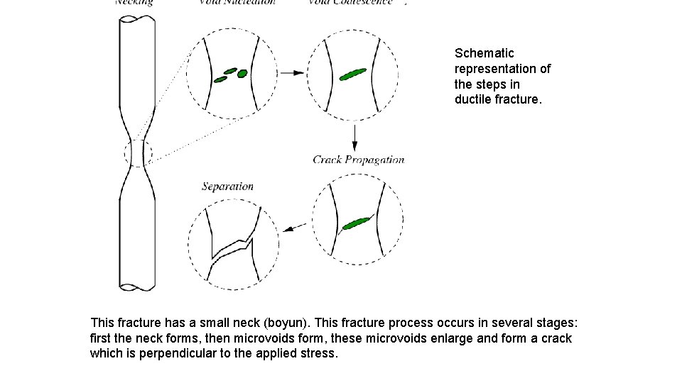Schematic representation of the steps in ductile fracture. This fracture has a small neck