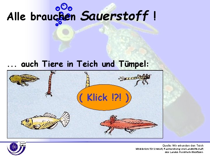 Alle brauchen Sauerstoff ! . . . auch Tiere in Teich und Tümpel: (