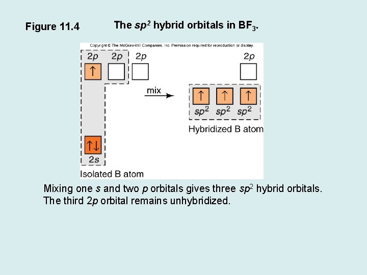 Figure 11. 4 The sp 2 hybrid orbitals in BF 3. Mixing one s