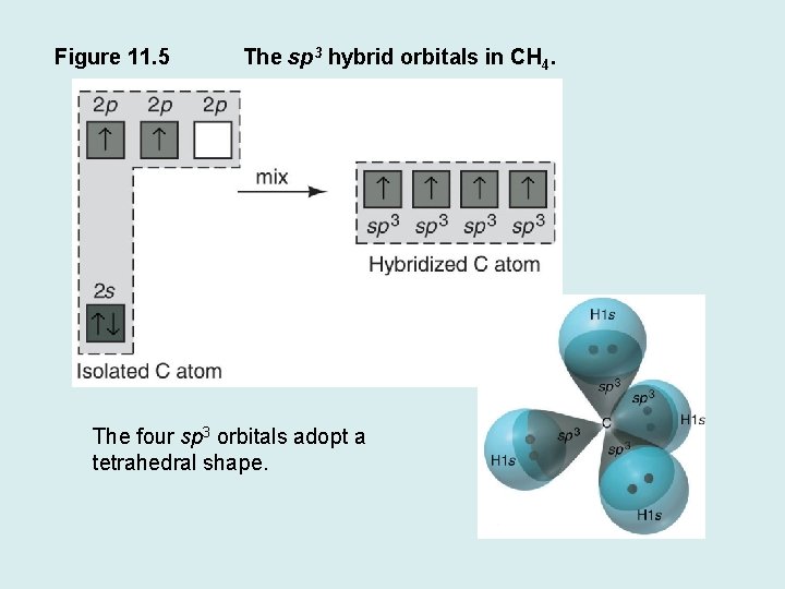 Figure 11. 5 The sp 3 hybrid orbitals in CH 4. The four sp