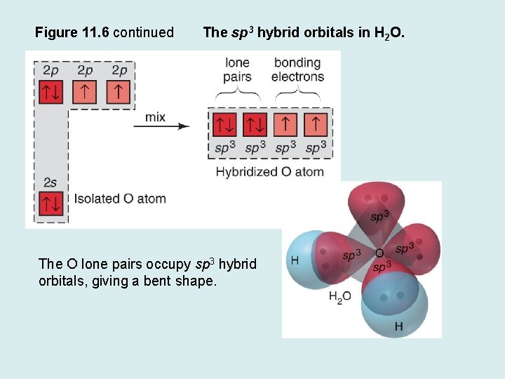 Figure 11. 6 continued The sp 3 hybrid orbitals in H 2 O. The