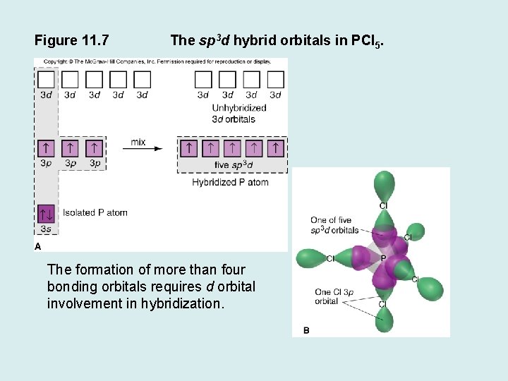 Figure 11. 7 The sp 3 d hybrid orbitals in PCl 5. The formation