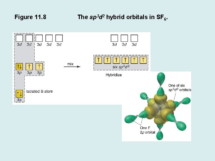 Figure 11. 8 The sp 3 d 2 hybrid orbitals in SF 6. 