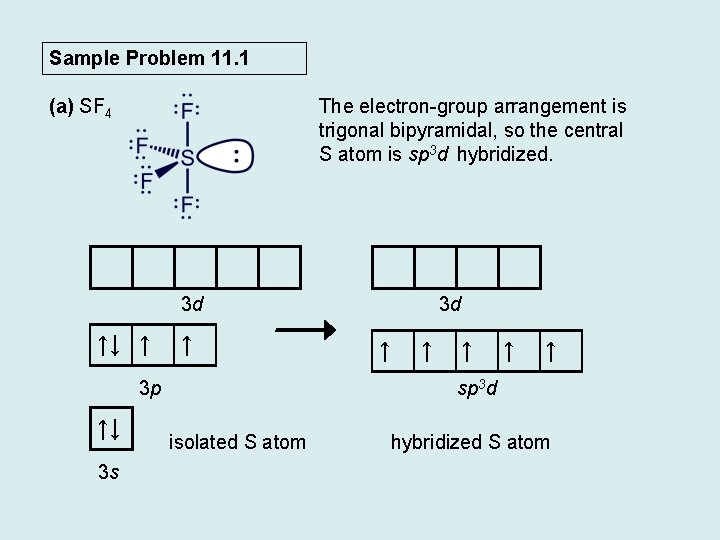 Sample Problem 11. 1 (a) SF 4 The electron-group arrangement is trigonal bipyramidal, so