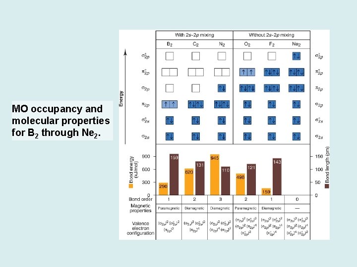 MO occupancy and molecular properties for B 2 through Ne 2. 