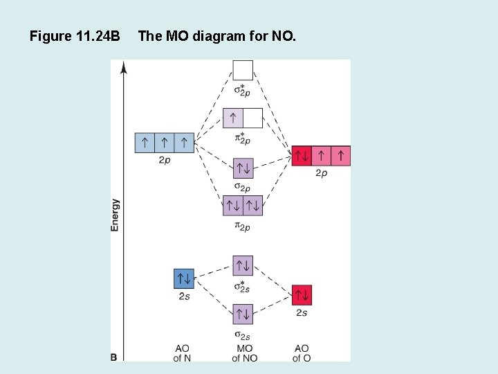 Figure 11. 24 B The MO diagram for NO. 