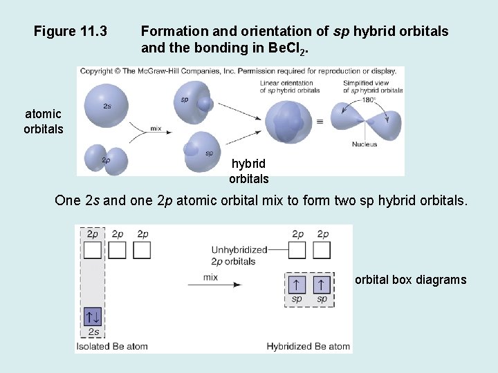 Figure 11. 3 Formation and orientation of sp hybrid orbitals and the bonding in