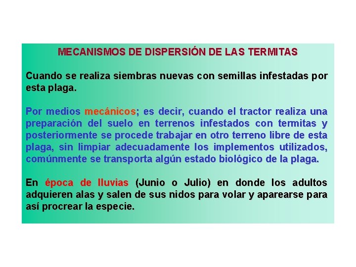 MECANISMOS DE DISPERSIÓN DE LAS TERMITAS Cuando se realiza siembras nuevas con semillas infestadas MECANISMOS DE DISPERSIÓN DE LAS TERMITAS Cuando se realiza siembras nuevas con semillas infestadas