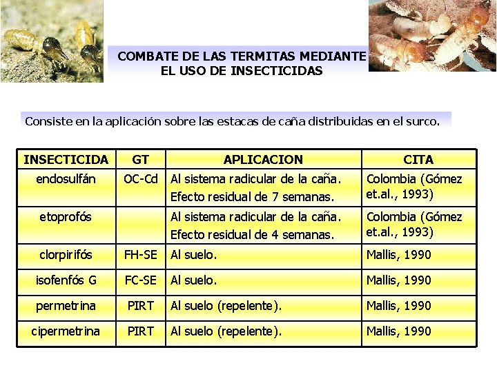 COMBATE DE LAS TERMITAS MEDIANTE EL USO DE INSECTICIDAS Consiste en la aplicación sobre