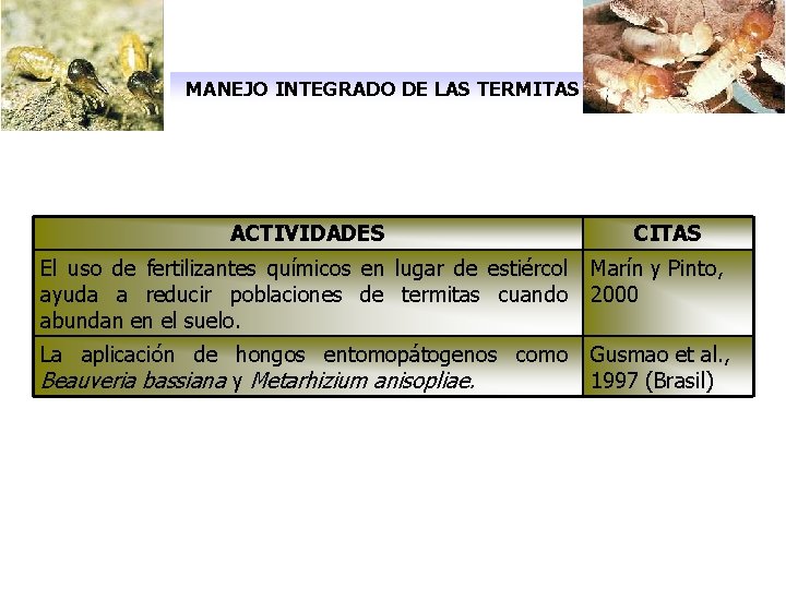 MANEJO INTEGRADO DE LAS TERMITAS ACTIVIDADES CITAS El uso de fertilizantes químicos en lugar MANEJO INTEGRADO DE LAS TERMITAS ACTIVIDADES CITAS El uso de fertilizantes químicos en lugar
