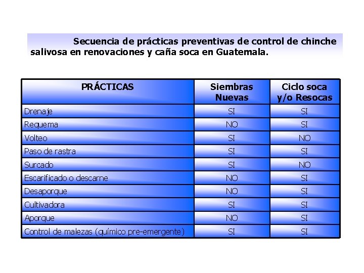  Secuencia de prácticas preventivas de control de chinche salivosa en renovaciones y caña