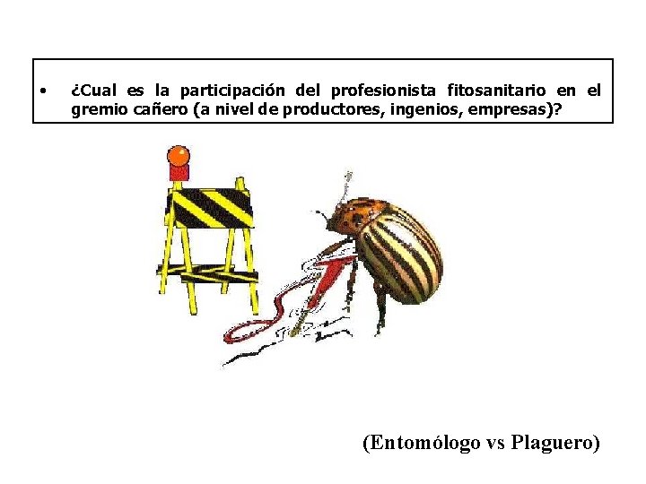  • ¿Cual es la participación del profesionista fitosanitario en el gremio cañero (a