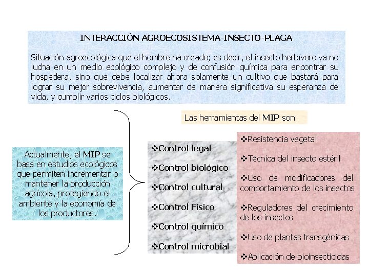 INTERACCIÓN AGROECOSISTEMA-INSECTO-PLAGA Situación agroecológica que el hombre ha creado; es decir, el insecto herbívoro