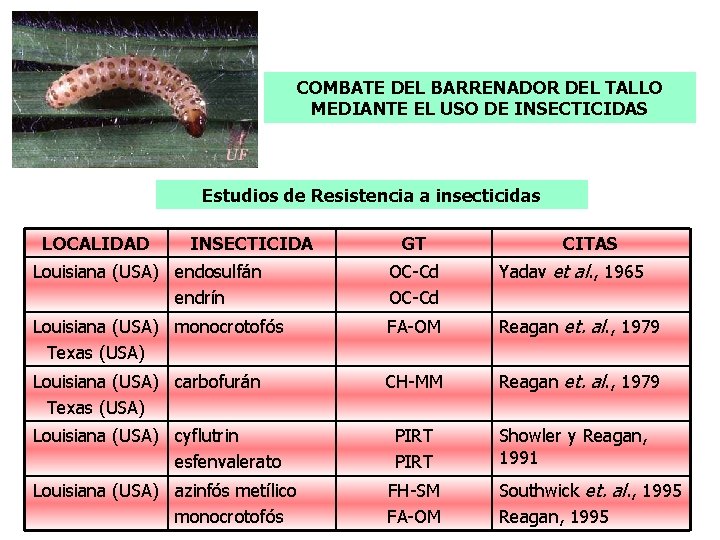 COMBATE DEL BARRENADOR DEL TALLO MEDIANTE EL USO DE INSECTICIDAS Estudios de Resistencia a