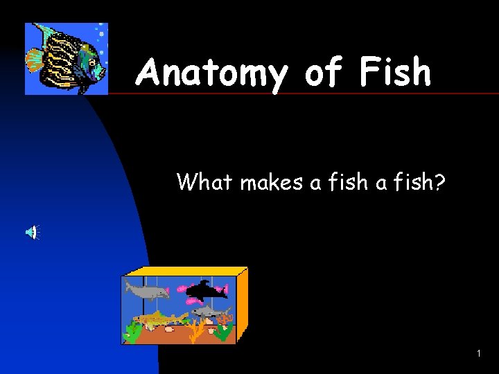Anatomy of Fish What makes a fish? 1 