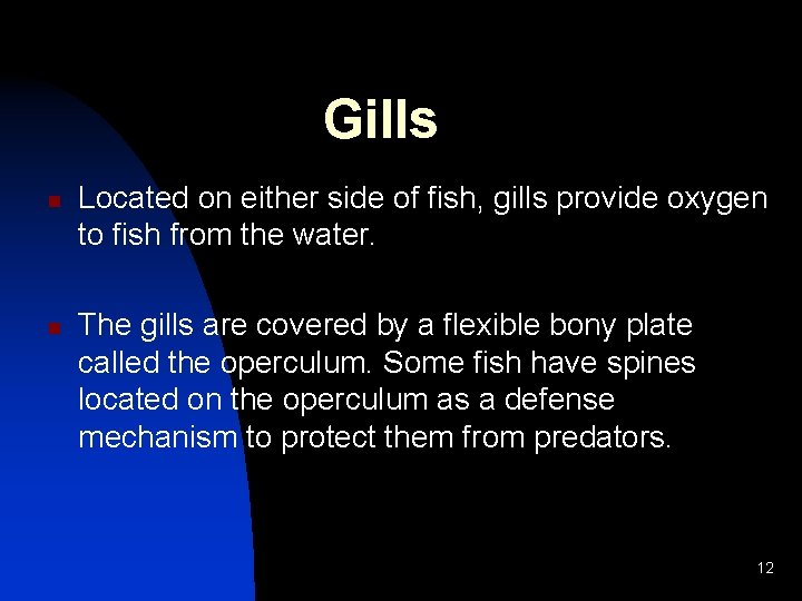 Gills n n Located on either side of fish, gills provide oxygen to fish