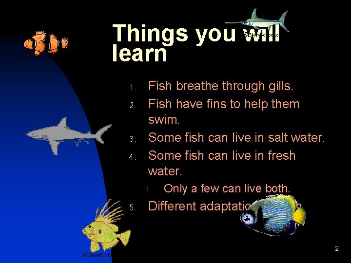 Things you will learn 1. 2. 3. 4. Fish breathe through gills. Fish have