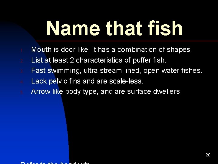 Name that fish 1. 2. 3. 4. 5. Mouth is door like, it has