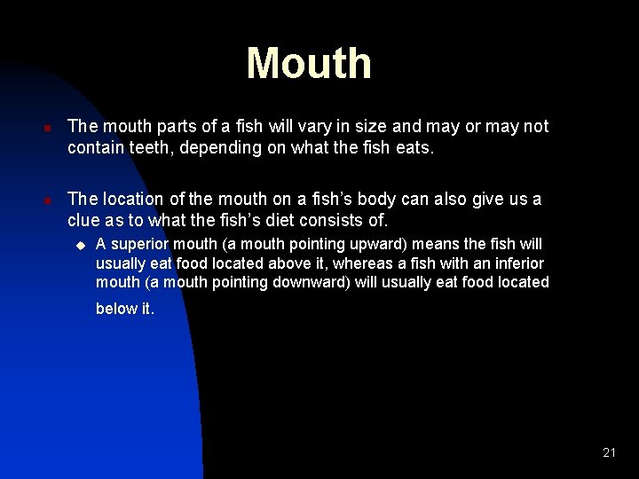 Mouth n n The mouth parts of a fish will vary in size and