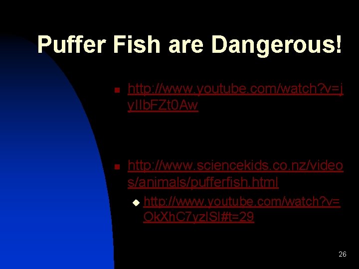 Puffer Fish are Dangerous! n n http: //www. youtube. com/watch? v=j y. IIb. FZt