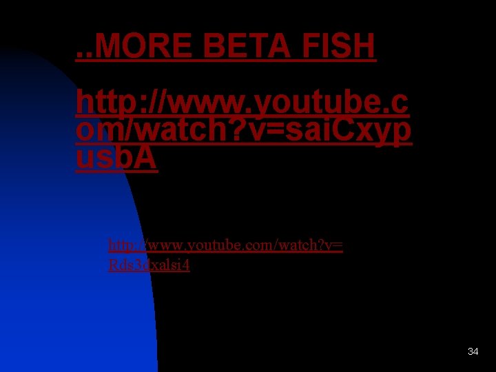 . . MORE BETA FISH http: //www. youtube. c om/watch? v=sai. Cxyp usb. A