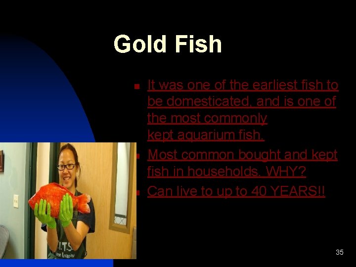 Gold Fish n n n It was one of the earliest fish to be