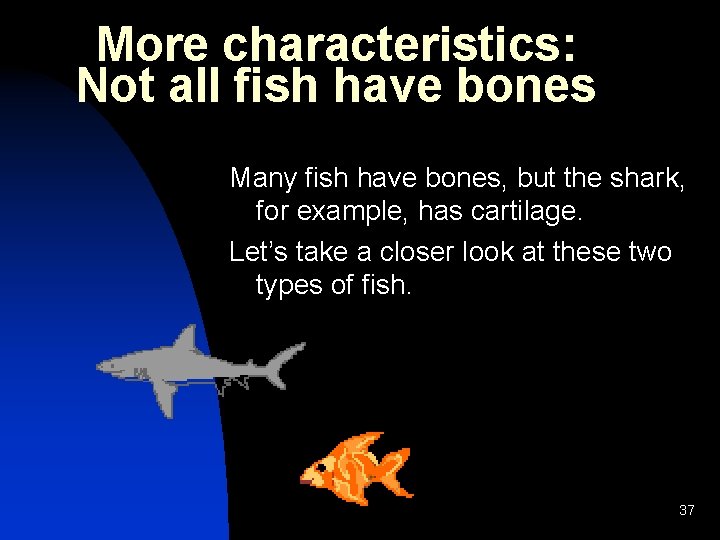 More characteristics: Not all fish have bones Many fish have bones, but the shark,