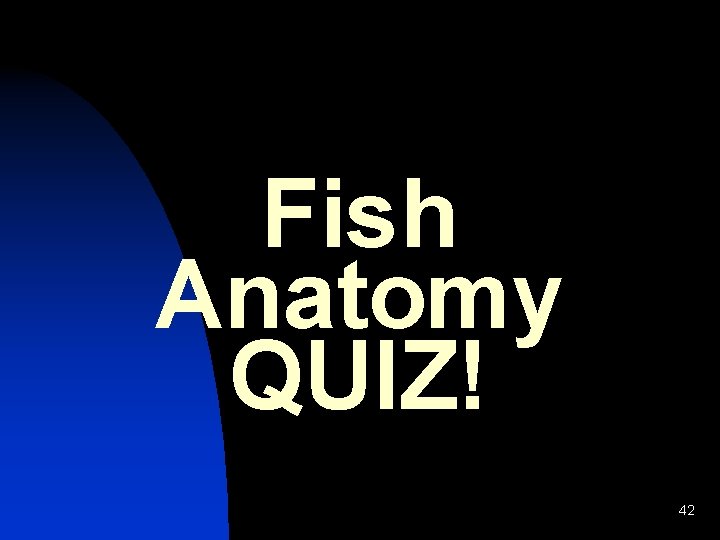Fish Anatomy QUIZ! 42 