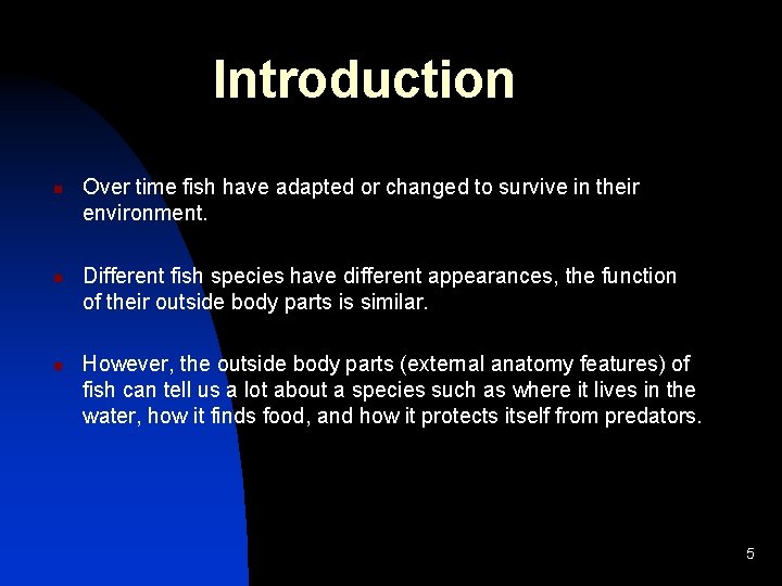 Introduction n Over time fish have adapted or changed to survive in their environment.