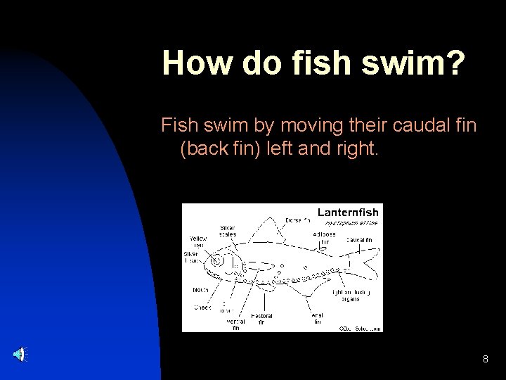How do fish swim? Fish swim by moving their caudal fin (back fin) left