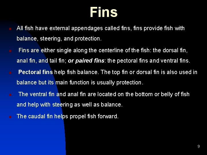 Fins n All fish have external appendages called fins, fins provide fish with balance,