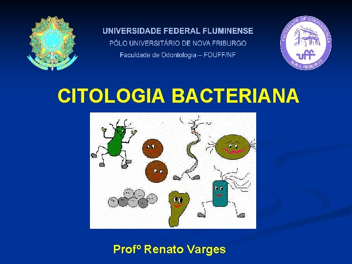 CITOLOGIA BACTERIANA Profº Renato Varges 