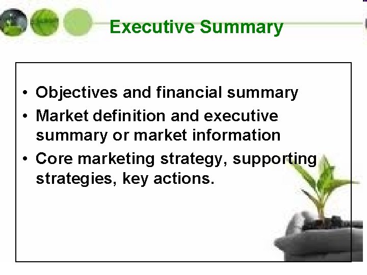  Executive Summary • Objectives and financial summary • Market definition and executive summary