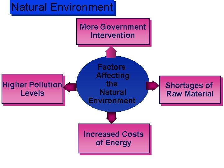 Natural Environment More Government Intervention Higher Pollution Levels Factors Affecting the Natural Environment Increased