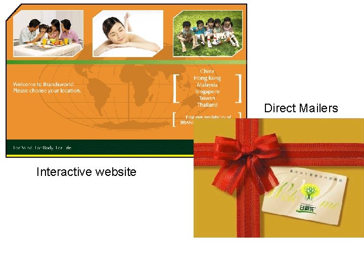 Direct Mailers Interactive website 