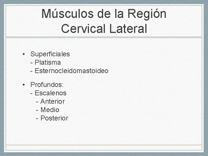 Músculos de la Región Cervical Lateral • Superficiales - Platisma - Esternocleidomastoideo • Profundos: