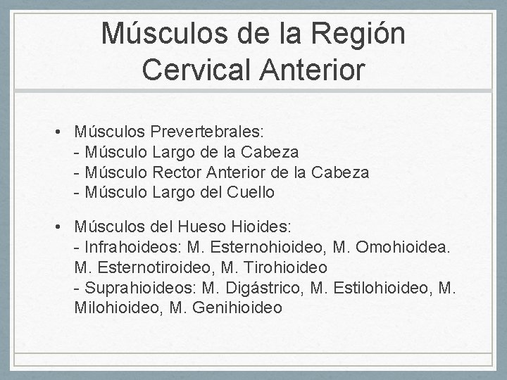 Músculos de la Región Cervical Anterior • Músculos Prevertebrales: - Músculo Largo de la